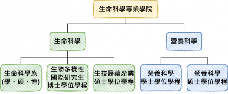 系所簡介-組織架構